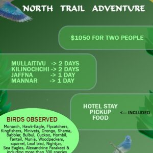 6 Days North Trail Adventure